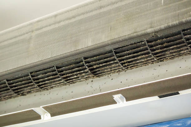 Best HVAC Air Duct Cleaning  in Westke, LA